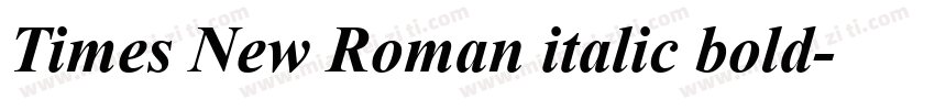 Times New Roman italic bold字体转换